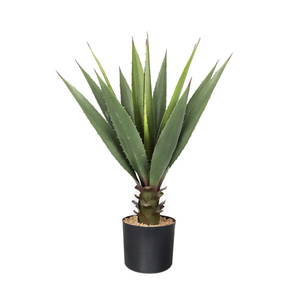 Primrue Christie 27'' Faux Agave Plant in Pot Wayfair